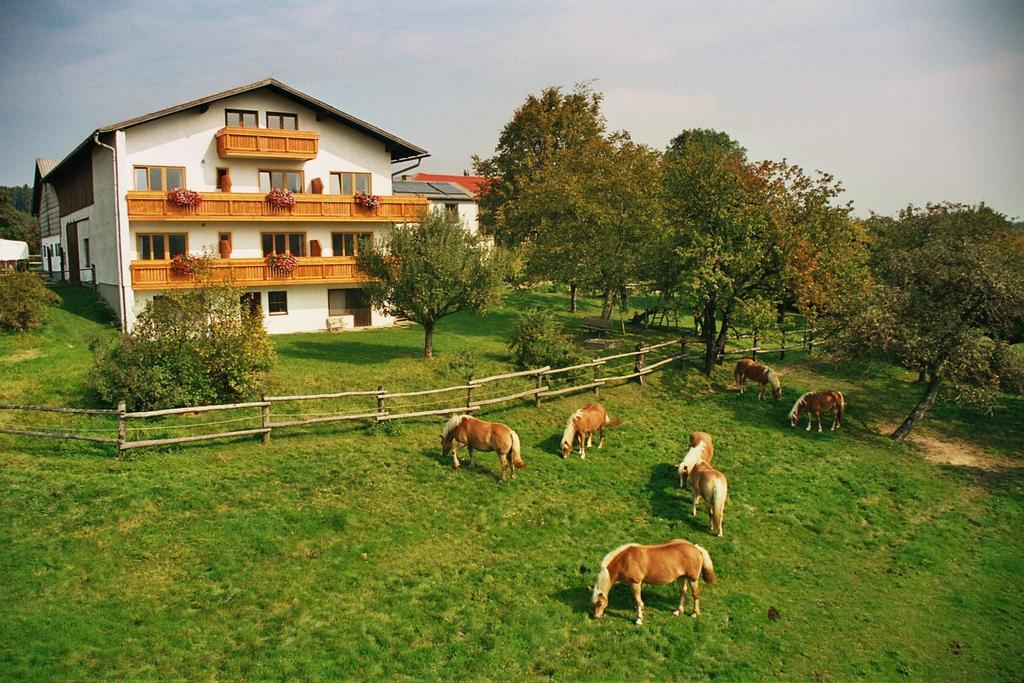Biobauernhof Wolf-Hof Apartment Pressbaum Exterior photo
